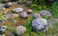 Le uova di pietra della roccia Dragon a Valsaintes