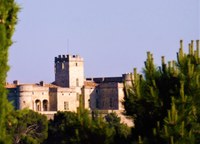 Le Barroux, il castello
