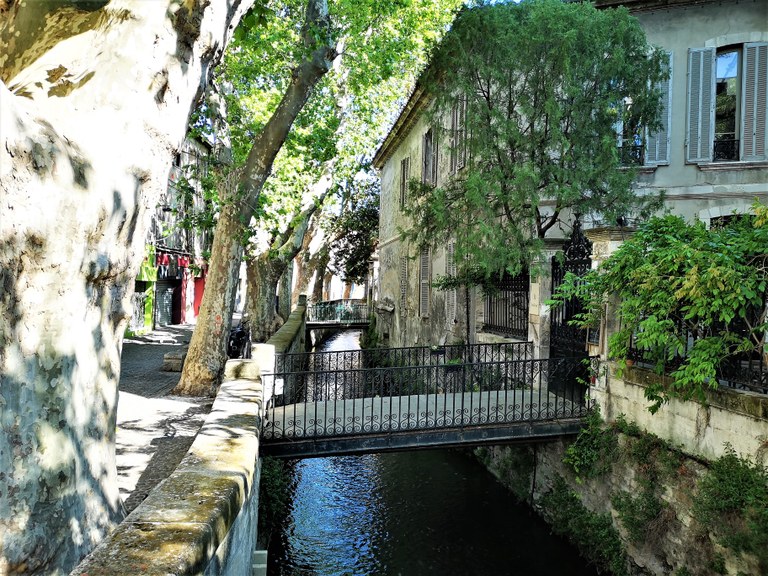 Avignone, la Rue des Teinturiers