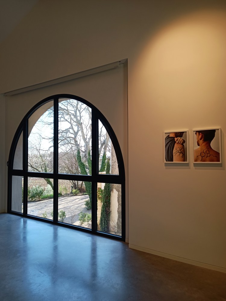 Bonisson Art Center, interno
