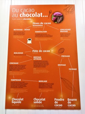 Chocolaterie Castelain, dalle fave di cacao al cioccolato