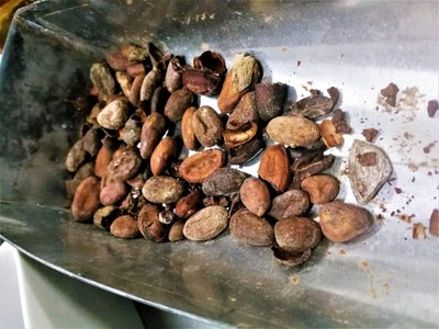 Chocolaterie Castelain, fave di cacao