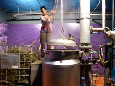 Distilleria Les Agnels - Véronique Agnel prepara la caldaia per il processo di distillazione