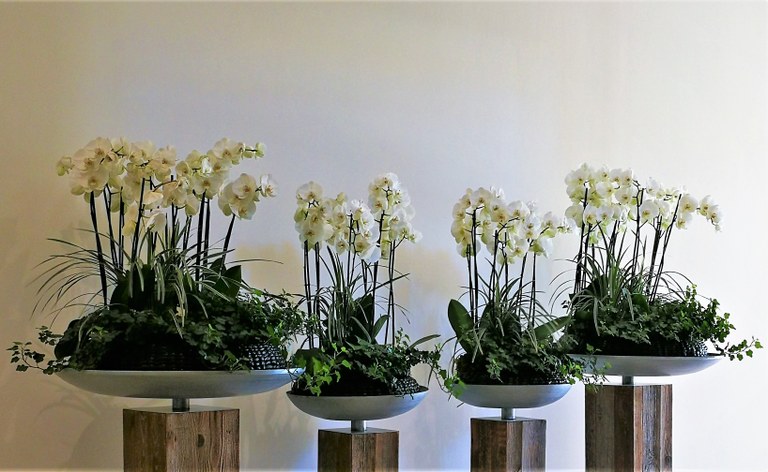 Domaine de la Coquillade, le orchidee bianche decorano la spa