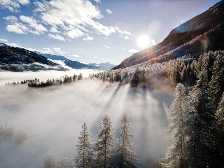 Foresta alpina © Paul Brechu