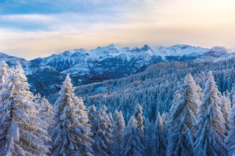 Foresta coperta di neve, Alte Alpi, Rogier van Rijn © Bertrand Bodin