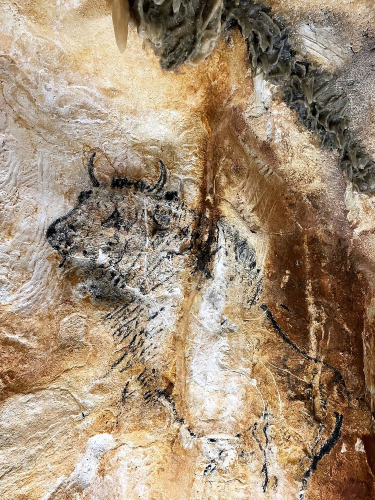 Grotta Cosquer, graffito rupestre © cd OMTCM