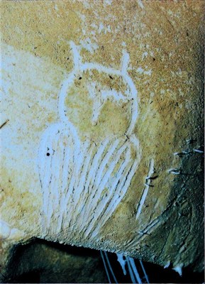Grotta di Chauvet, figura di gufo