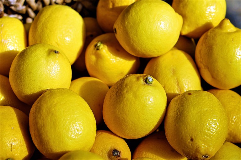 Limoni a tonnellate per la festa di Mentone