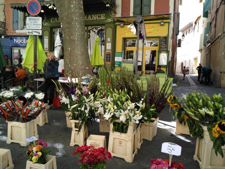 L'Isle-sur-la-Sorgue, mercato, fiori