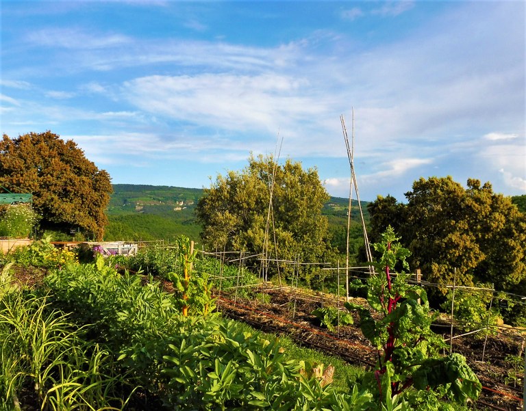 L'orto agroecologico dell'abbazia di Valsaintes