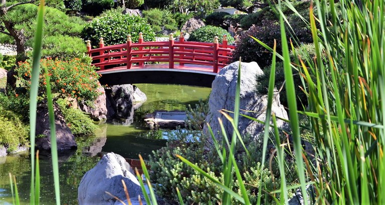 Monaco, il giardino giapponese, particolare © Visit Monaco
