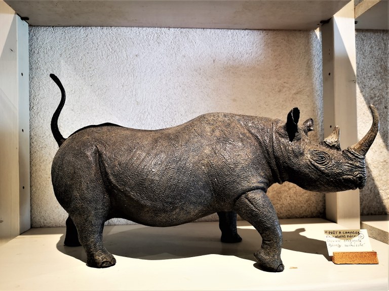 Olivia Trégaut, rinoceronte