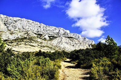 Sentiero sulla montagne Sainte-Victoire