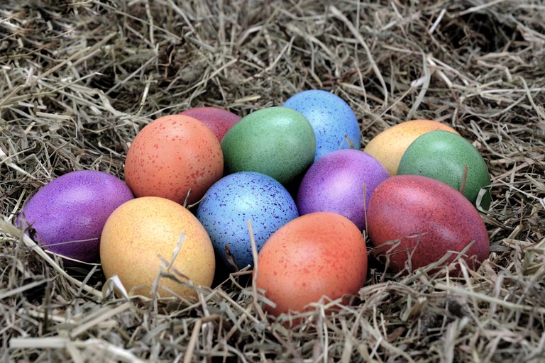 Uova di vari colori