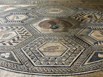 Vaison-la-Romaine, il mosaico del pavone