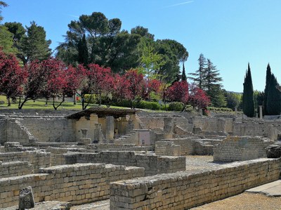 Vaison-la-Romaine, il sito archeologico di Puymin