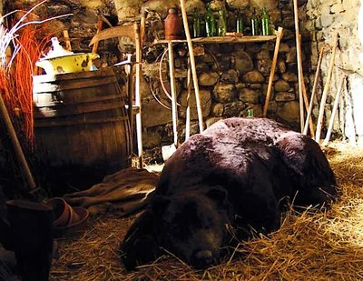 Viapac, La prigione dell'orso che dorme, di Mark Dion © Alpes-de-Haute-Provence Tourisme