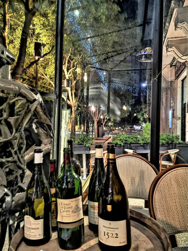 Wine Bar Le Cheval Blanc a Nîmes, la veranda