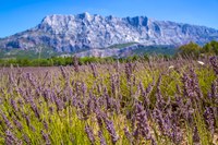 La Montagne Sainte Victoire © S. Spiteri