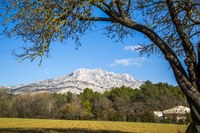 La Montagne Sainte Victoire © Sophie Spiteri