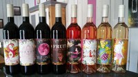 I vini di Orgamic