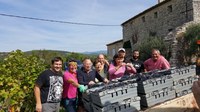 La vendemmia, uno dei momenti più belli per i copain di Orgamic