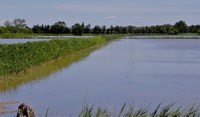 Mas de Valériole - La campagna allagata dalle canalizzazioni idriche