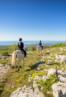 Passeggiata a Cavallo nei pressi di Vence - Crédit Agence media h 265 - OTMNCA