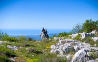 Passeggiata a cavallo a Vence - Crédit Agence media h 265 - OTMNCA