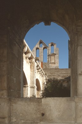 Abbazia di Montmajour, particolare, Philippe Berthé © CMN, Paris (1).jpg