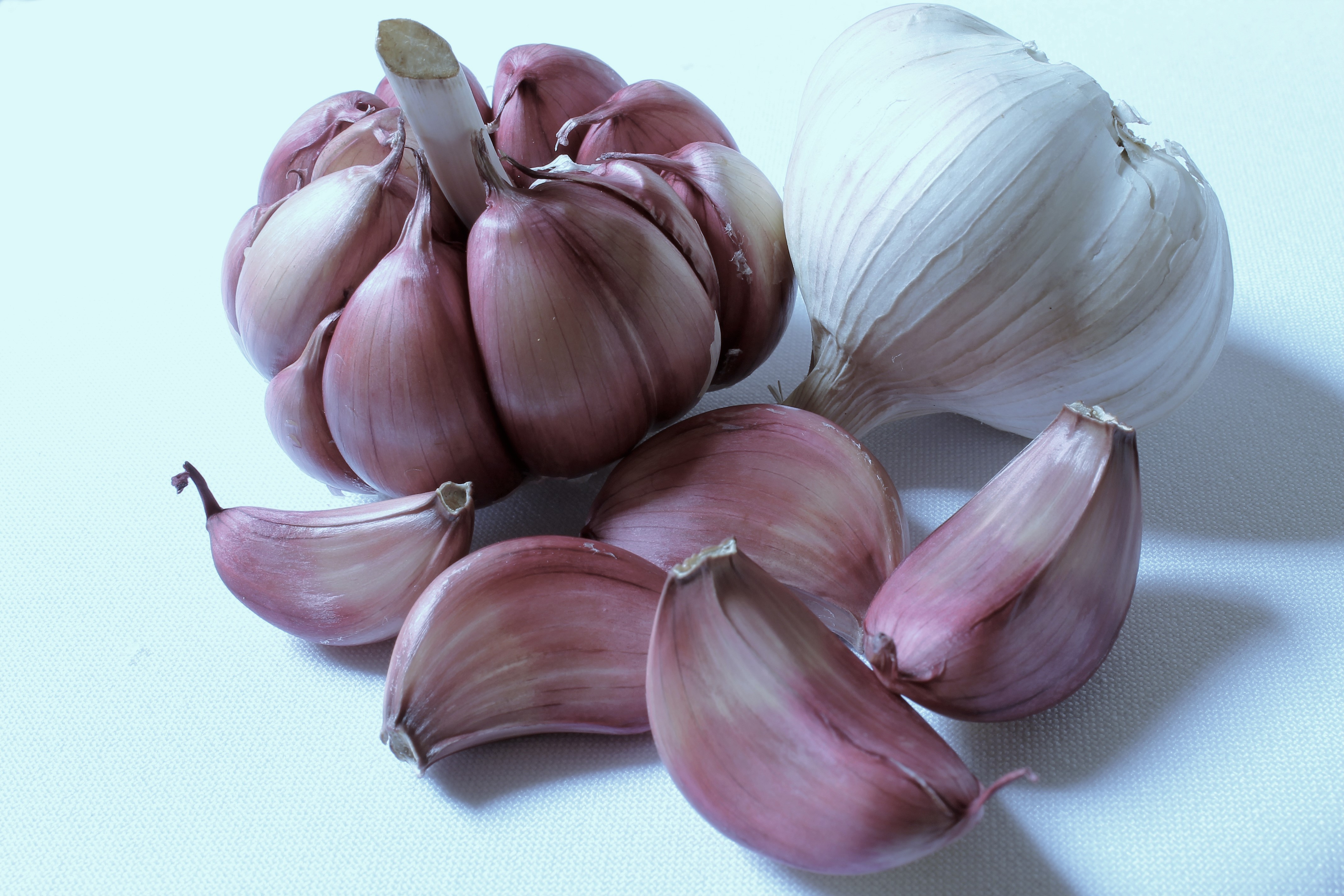 Aglio rosa di Provenza