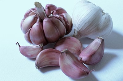 Aglio rosa di Provenza