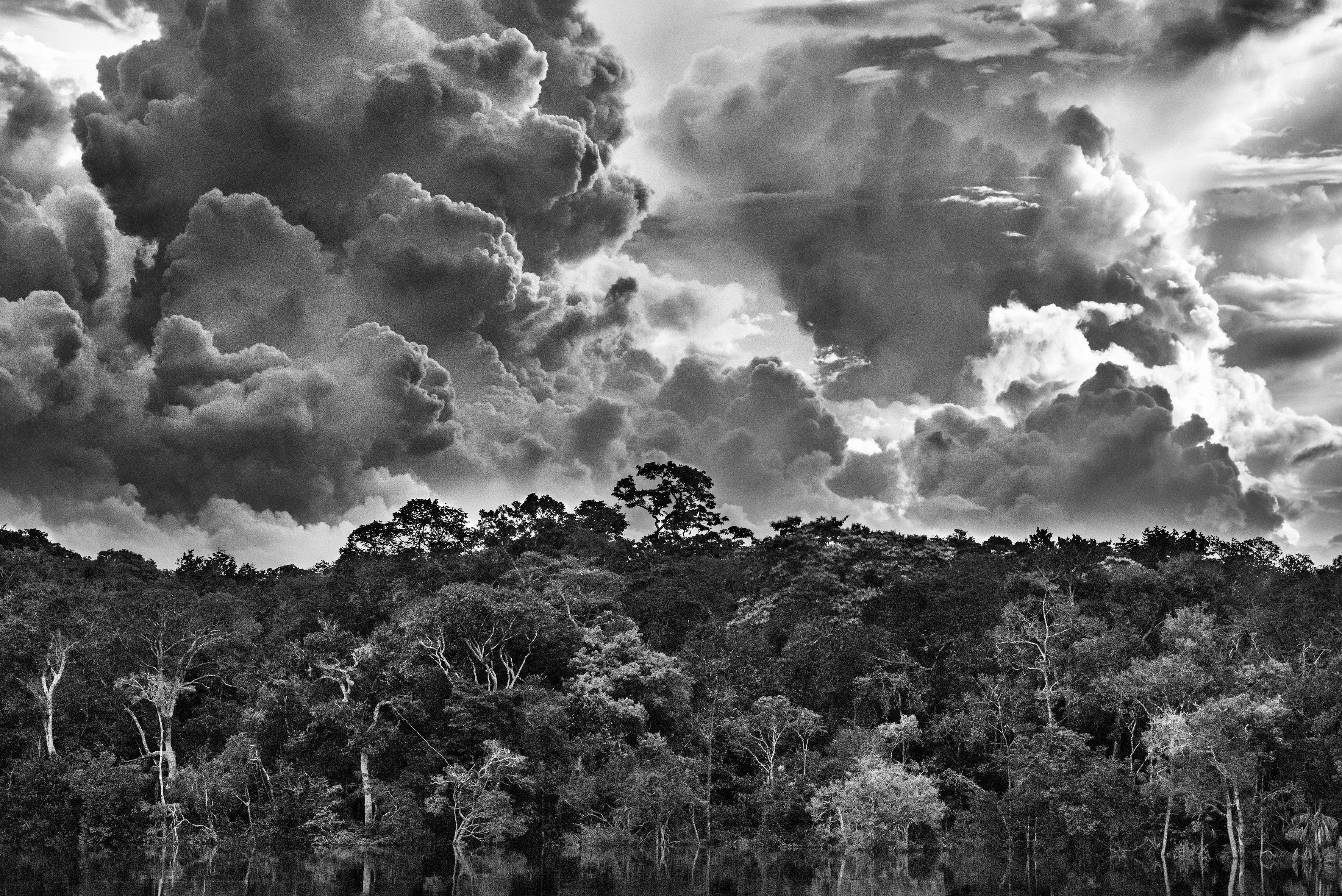 Archipel fluvial de Mariuá, Rio Negro, État d’Amazonas, Brésil, 2019 © Sebastião Salgado