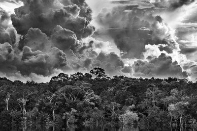 Archipel fluvial de Mariuá, Rio Negro, État d’Amazonas, Brésil, 2019 © Sebastião Salgado