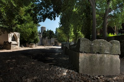 Arles, gli Alyscamps © Lionel Roux - OT Arles