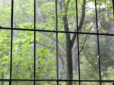 Atelier Cezanne, la luce che arriva da nord