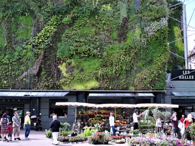 Avignone, il muro vegetale delle Halles © Philippe Bar