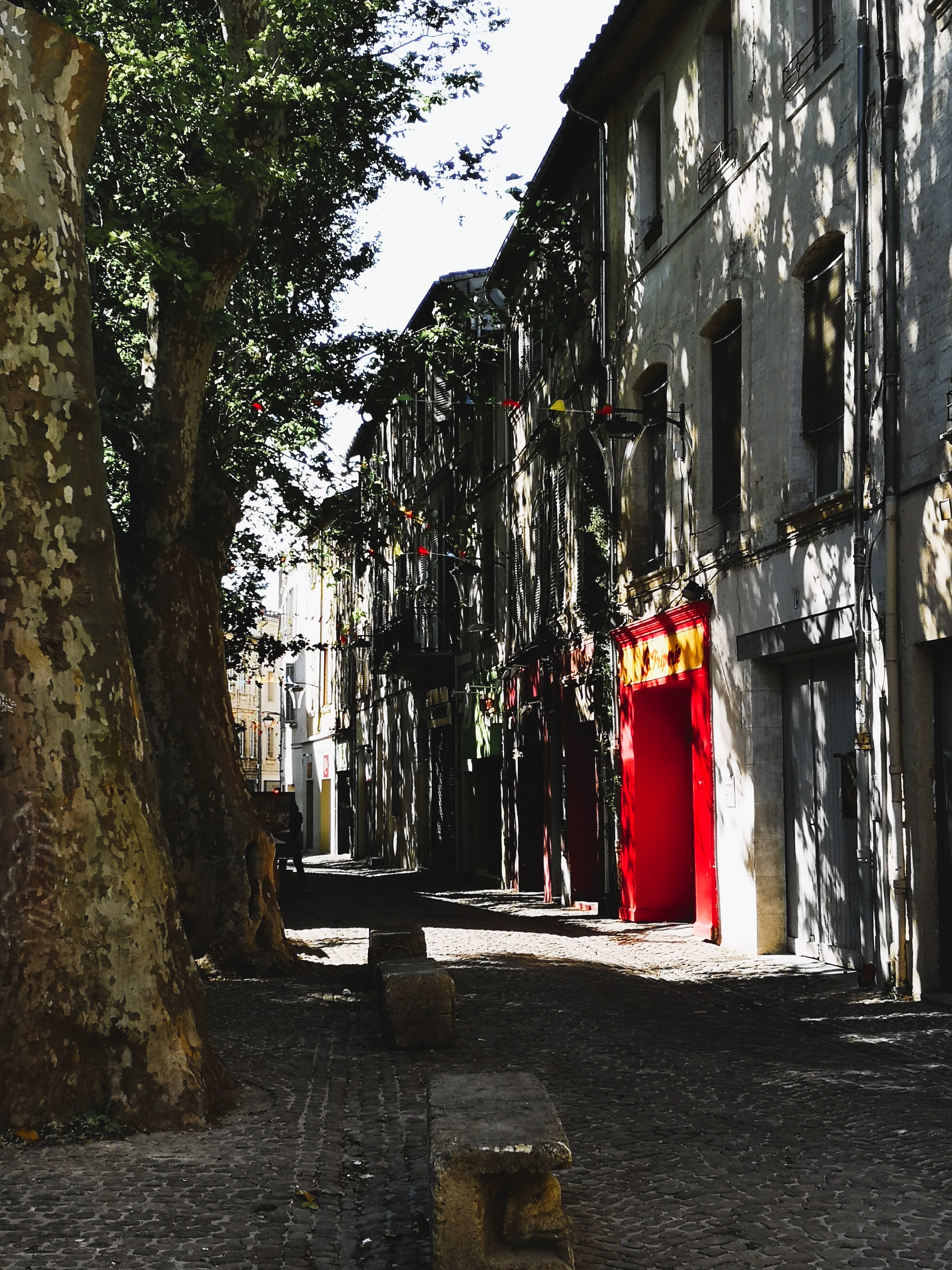 Avignone, lungo la Rue des Teinturiers