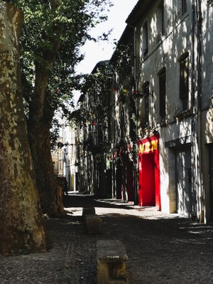 Avignone, lungo la Rue des Teinturiers