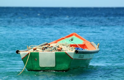 Barca da pesca