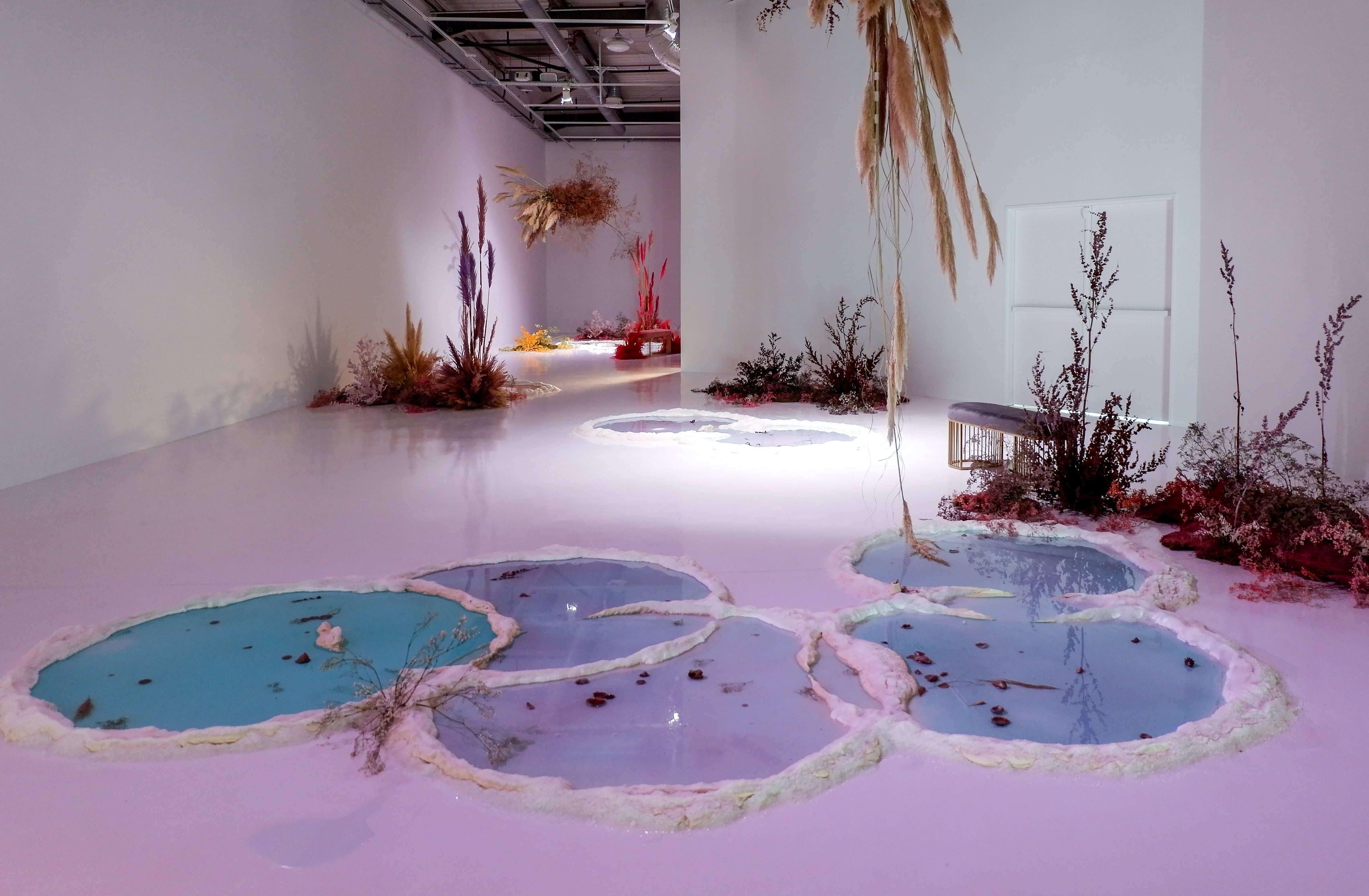 Biennale delle Arti di Nizza, un omaggio ai fiori - BONDI StillWaters
