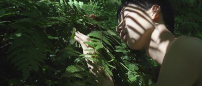 Biennale delle Arti di Nizza, un omaggio ai fiori - ZHENG Pteridophilia