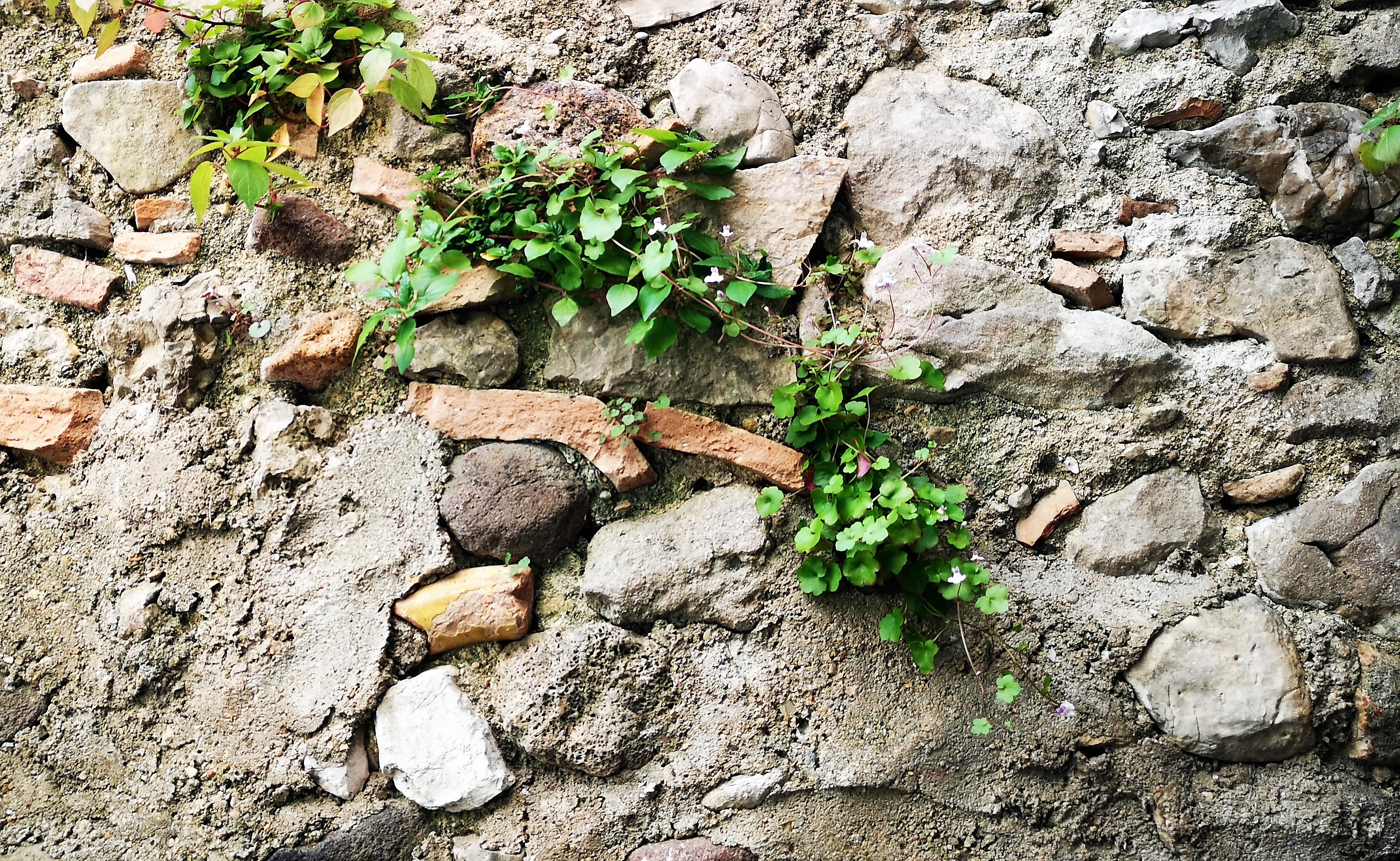 Biot Village, cocci di ceramica tra le pietre nei muri delle case