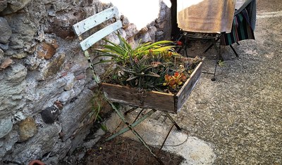 Biot Village, piante grasse