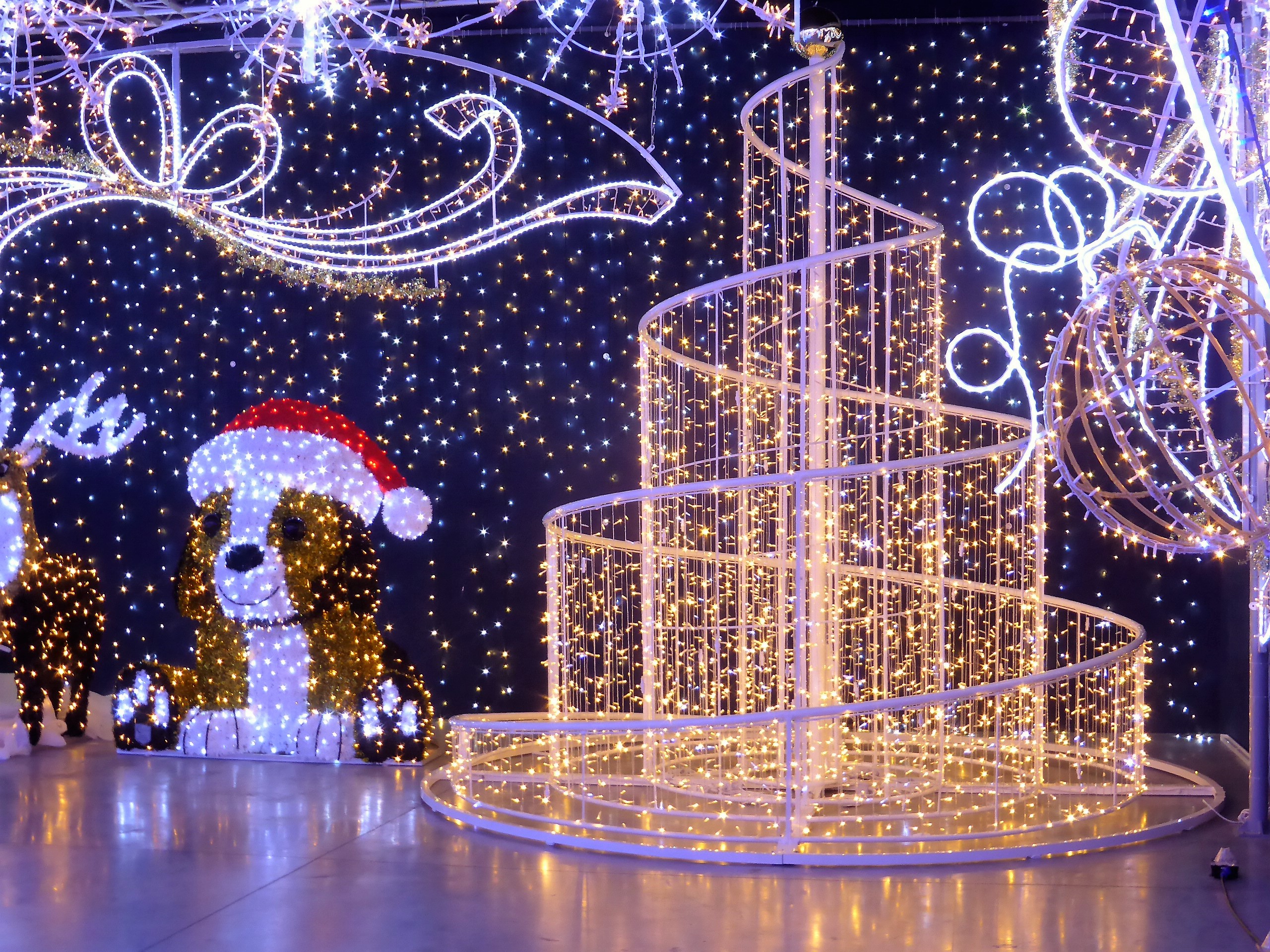 Blachère Illumination, la magia delle luci