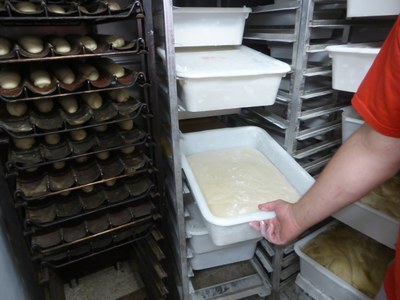 Blé meunier; l'impasto del pane a riposo dopo la prima lavorazione