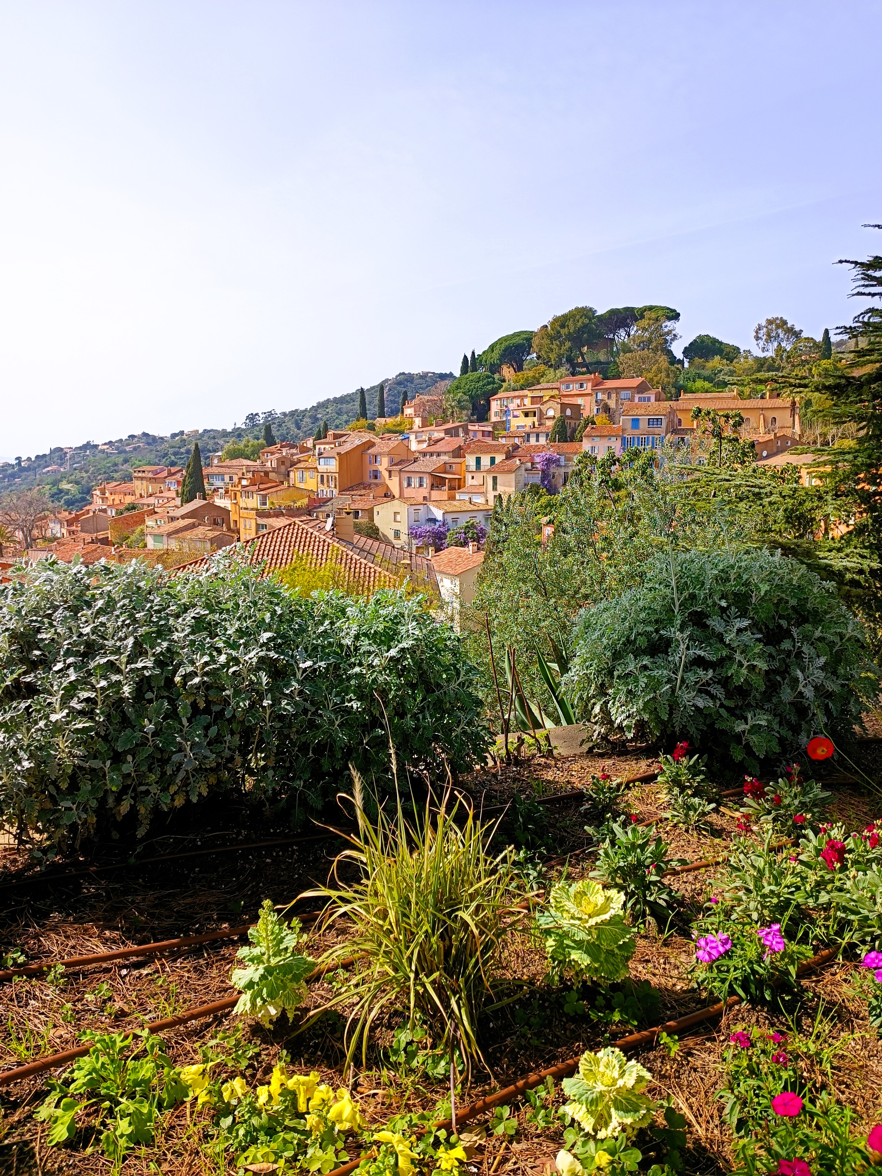 Bormes-les-Mimosas da uno dei suoi angoli fioriti