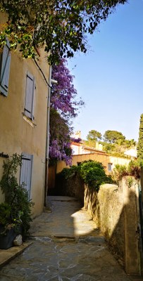 Bormes-les-Mimosas, i fiori spuntano dietro ogni angolo