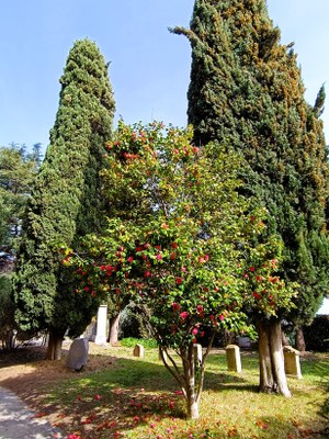 Bormes-les-Mimosas, il giardino di Saint-François de Paule